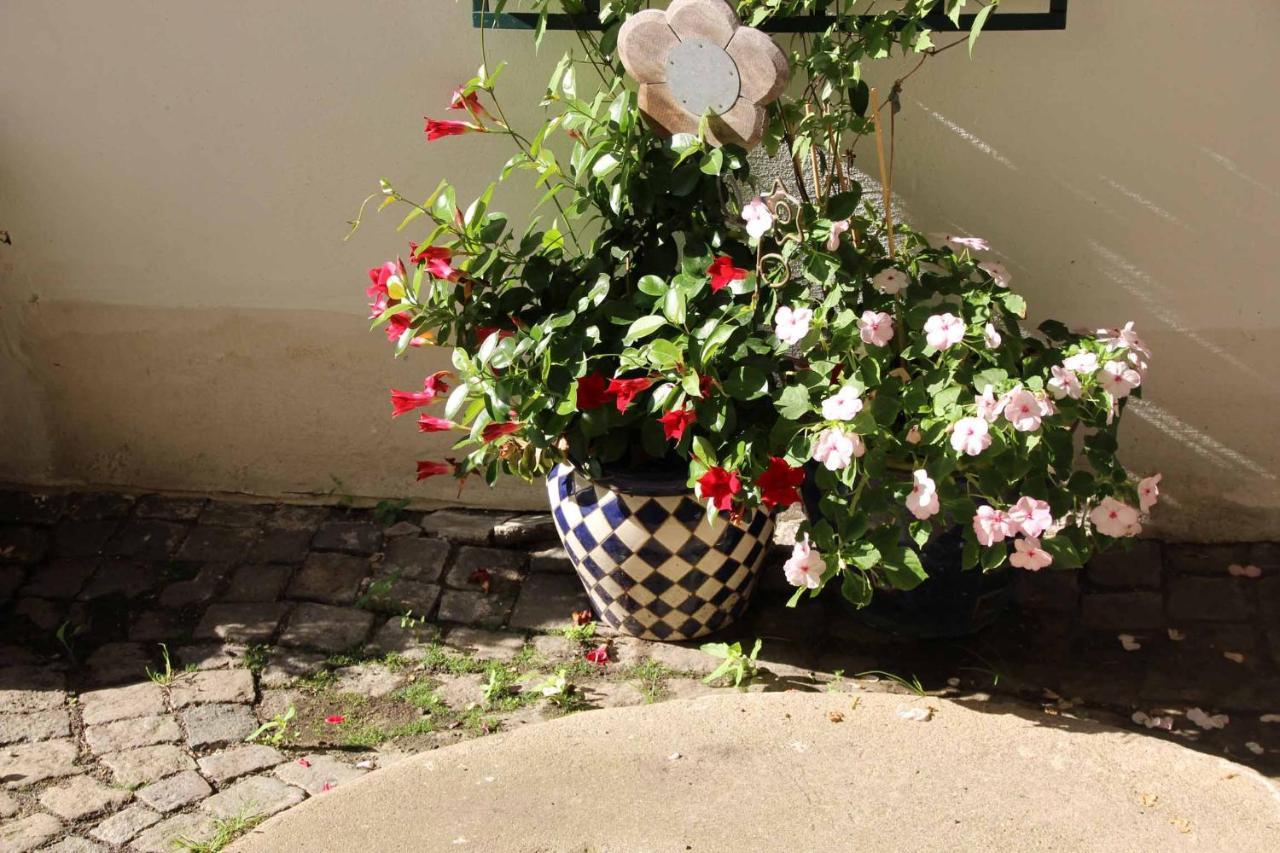 Zum Weissen Lamm Hotel Hohenberg an der Eger